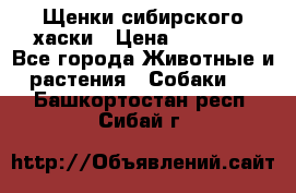 Щенки сибирского хаски › Цена ­ 12 000 - Все города Животные и растения » Собаки   . Башкортостан респ.,Сибай г.